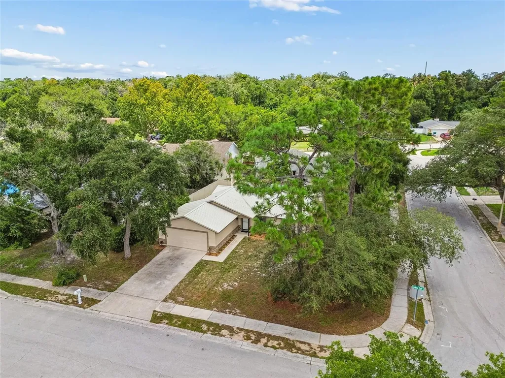 10305 Turkey Oak Drive New Port Richey FL 34654