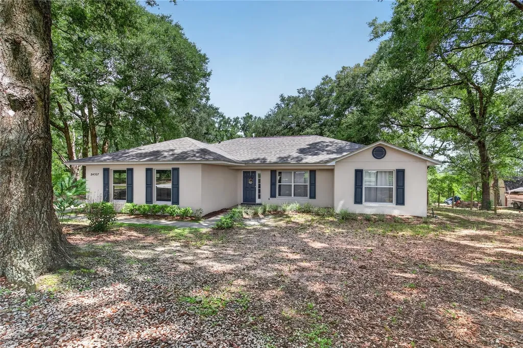 24307 Adair Avenue Sorrento FL 32776