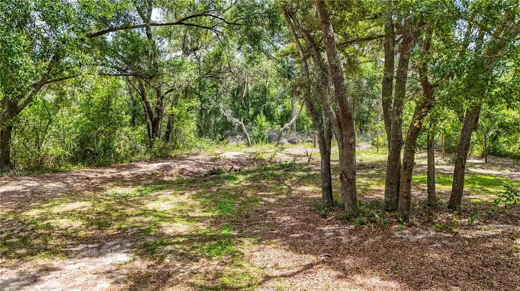 24307 Adair Avenue Sorrento FL 32776