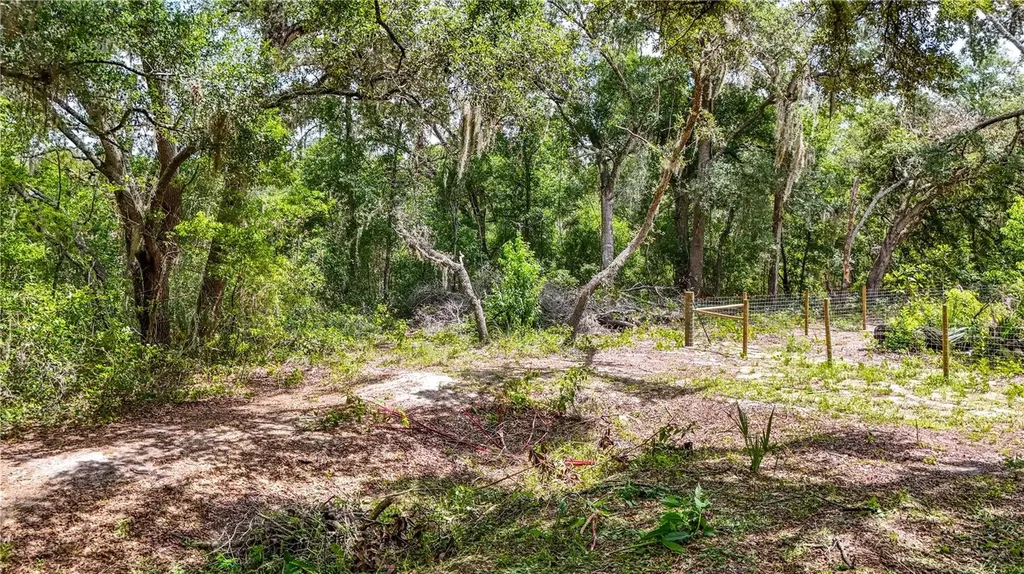 24307 Adair Avenue Sorrento FL 32776