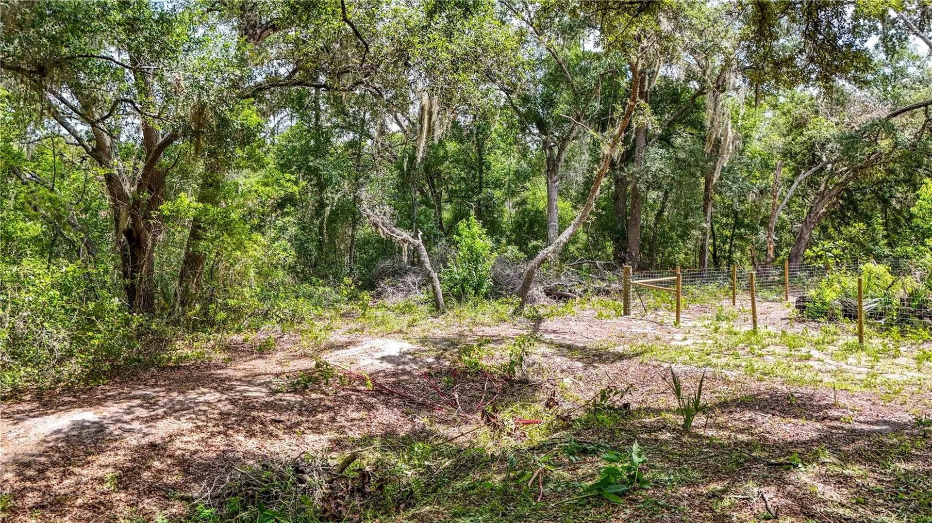 24307 Adair Avenue Sorrento FL 32776