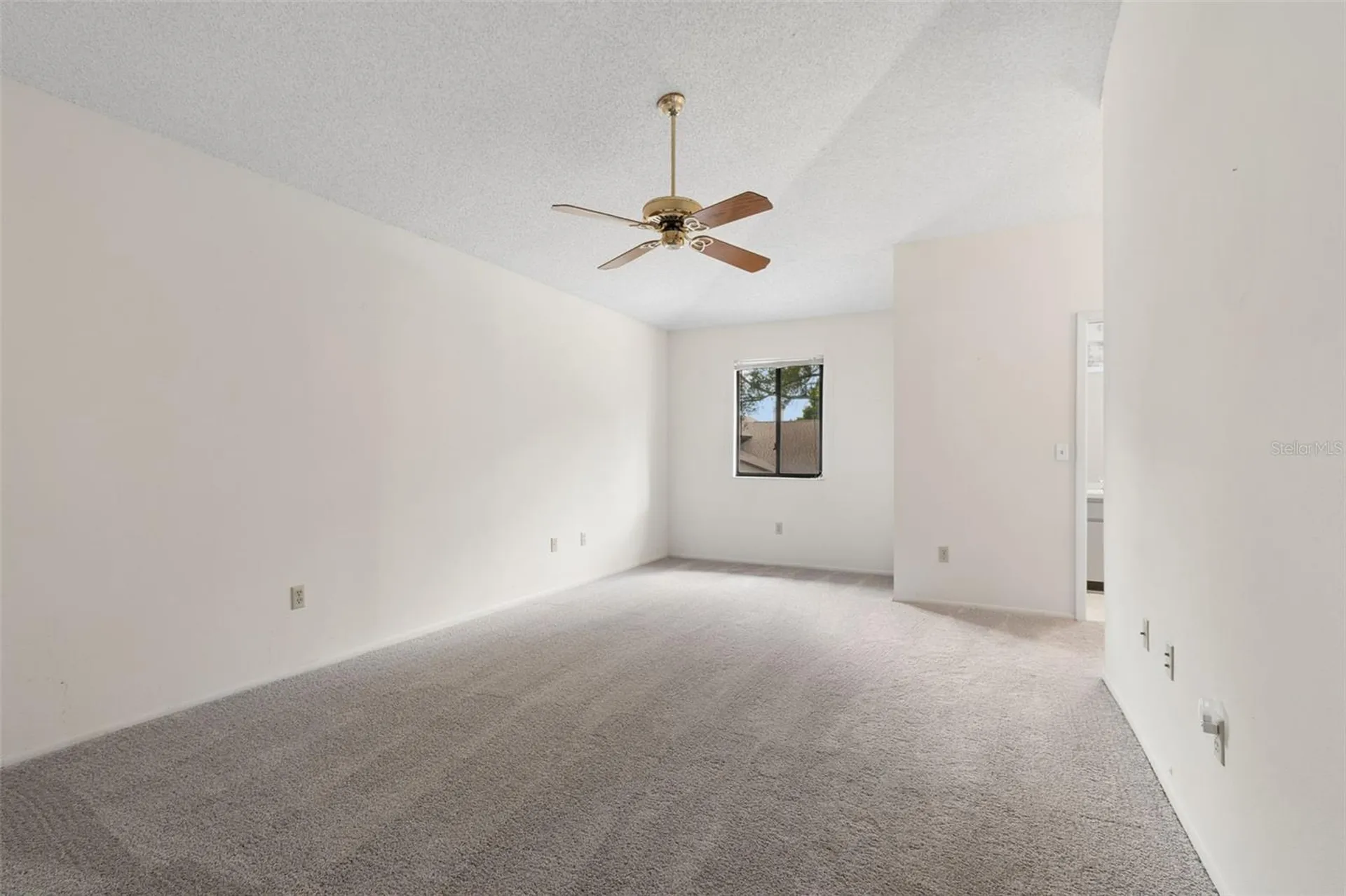 609 Green Valley Road Palm Harbor FL 34683