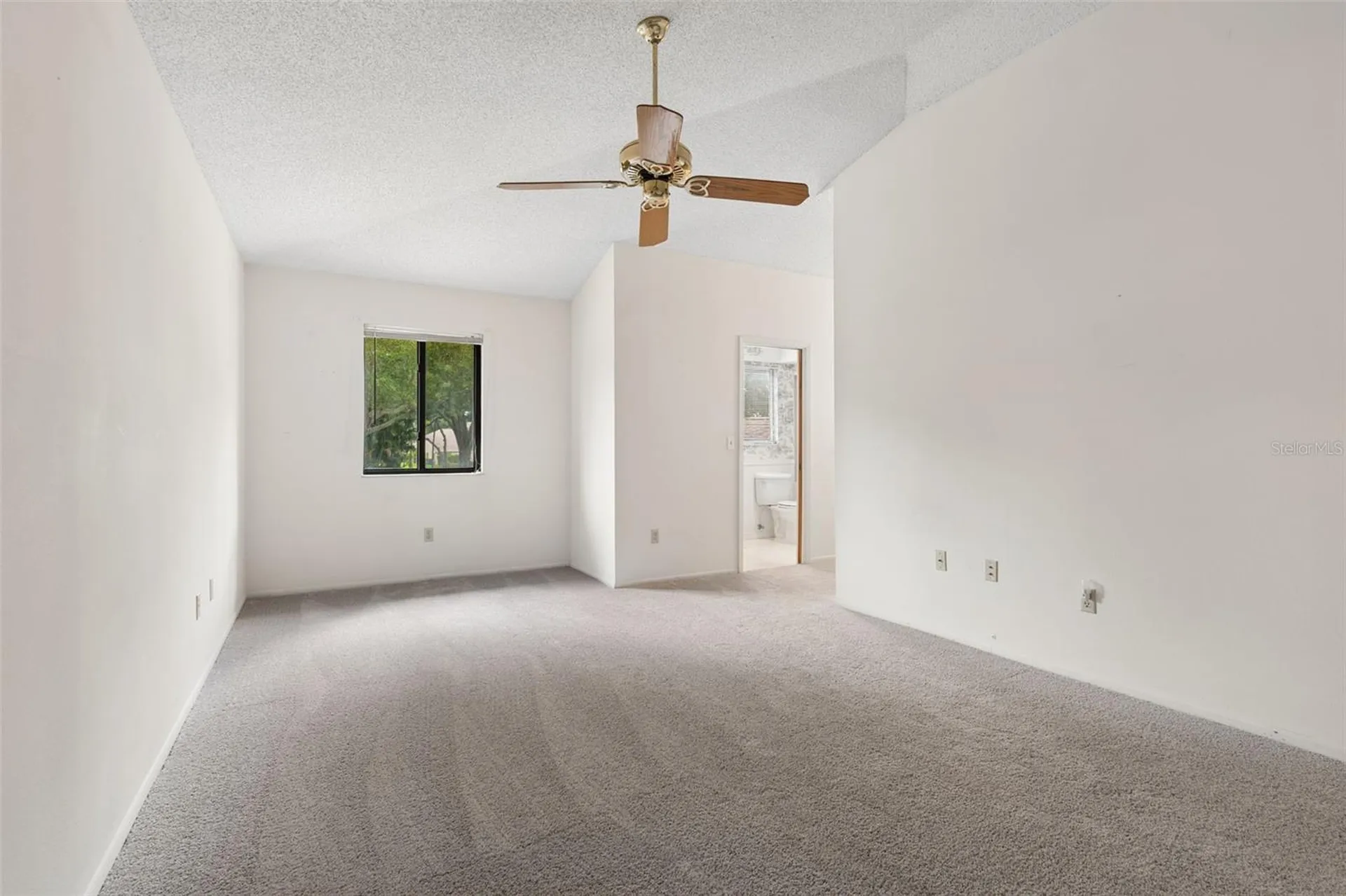 609 Green Valley Road Palm Harbor FL 34683