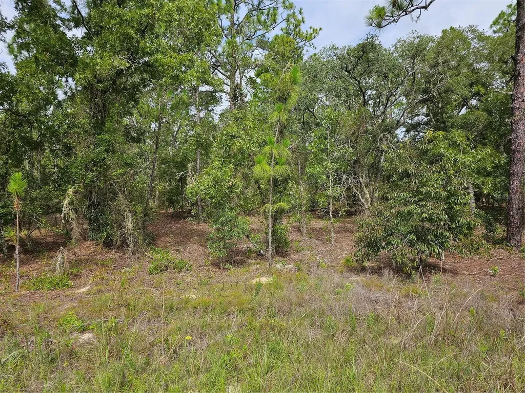 00 SW 122 Avenue Dunnellon FL 34432