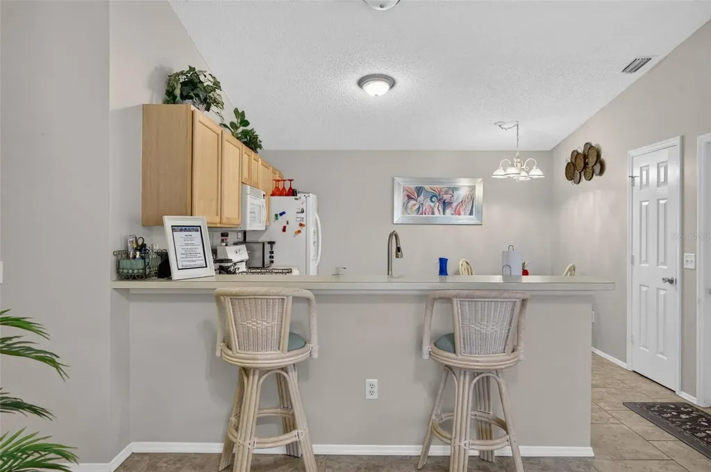 8242 SE 169th Palownia Loop The Villages FL 32162