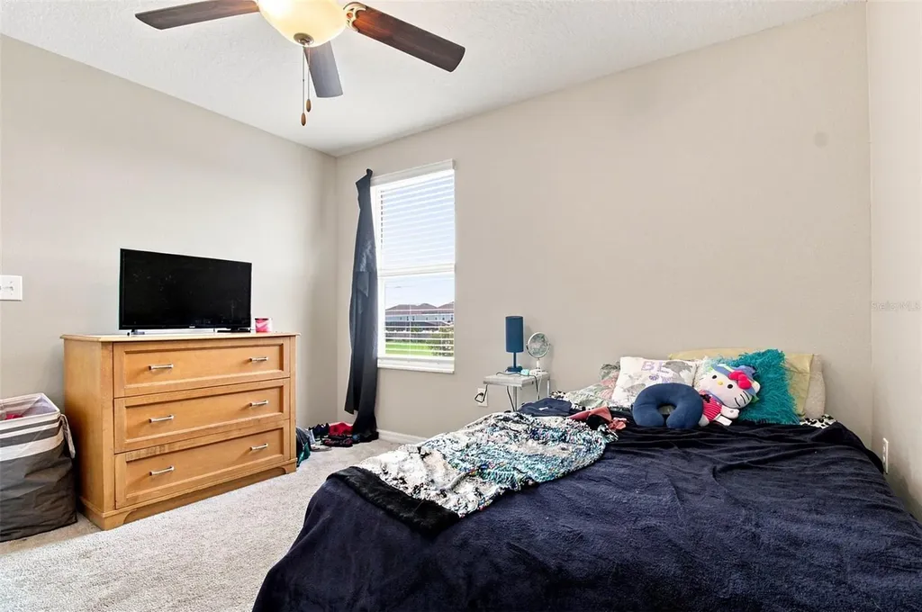 31746 Barrel Wave Way Wesley Chapel FL 33545