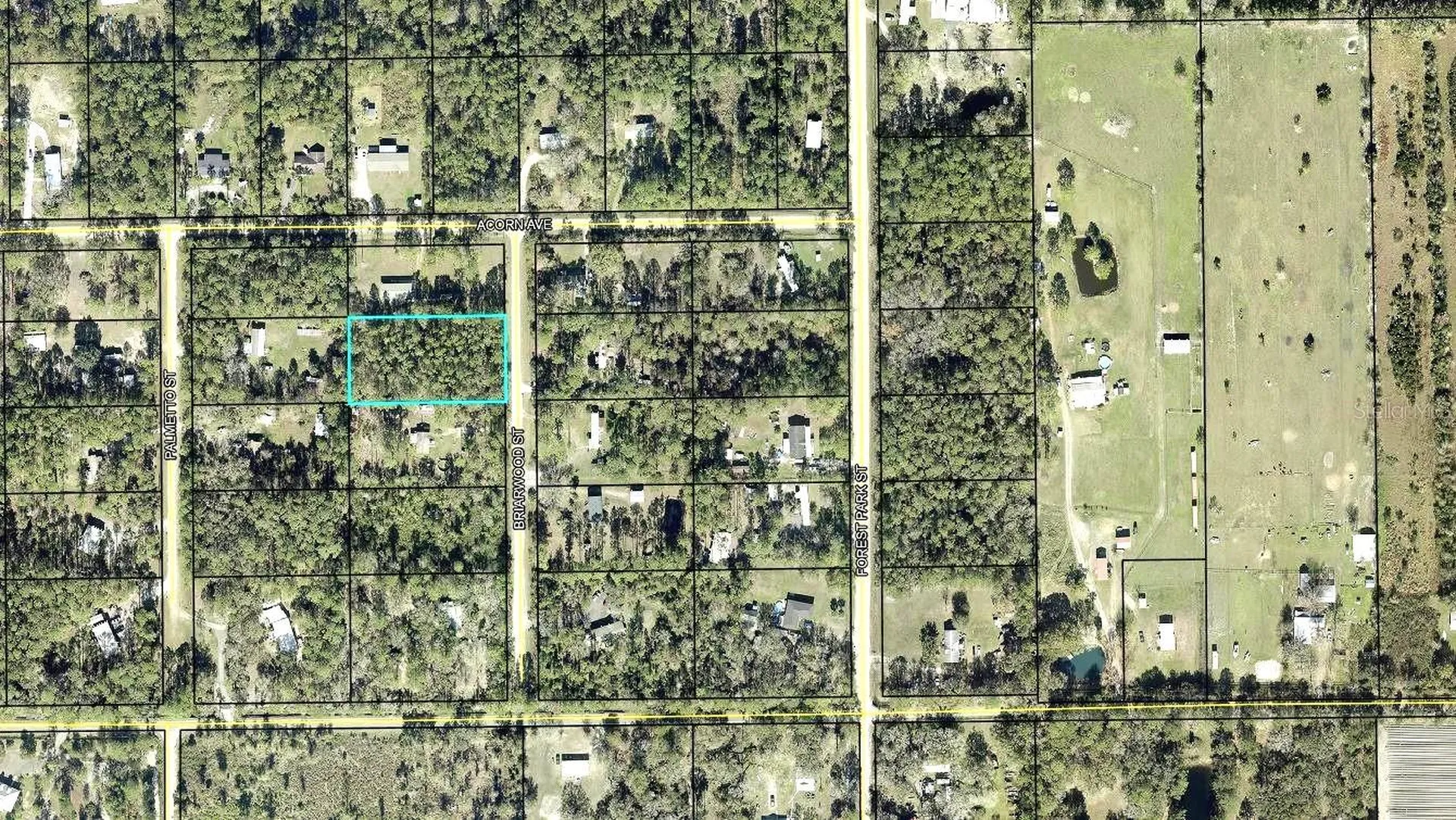 2828 Briarwood Street Bunnell FL 32110