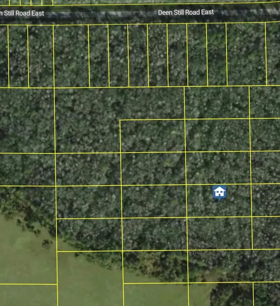 Deen Still Road E Polk City FL 33868
