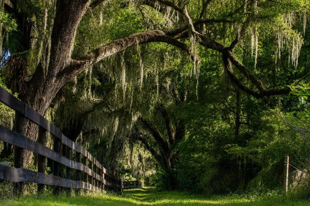 Tbd (Lot 22-w) SW 138th Loop Dunnellon FL 34432