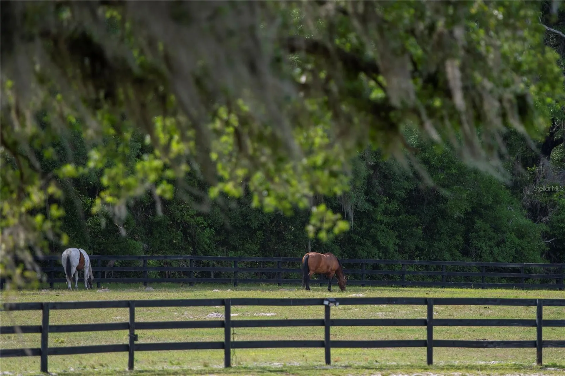 Tbd (Lot 22-w) SW 138th Loop Dunnellon FL 34432