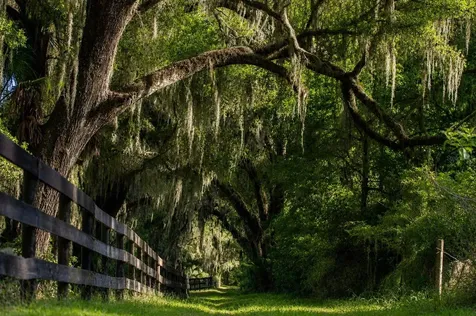 Tbd (Lot 22-w) SW 138th Loop Dunnellon FL 34432