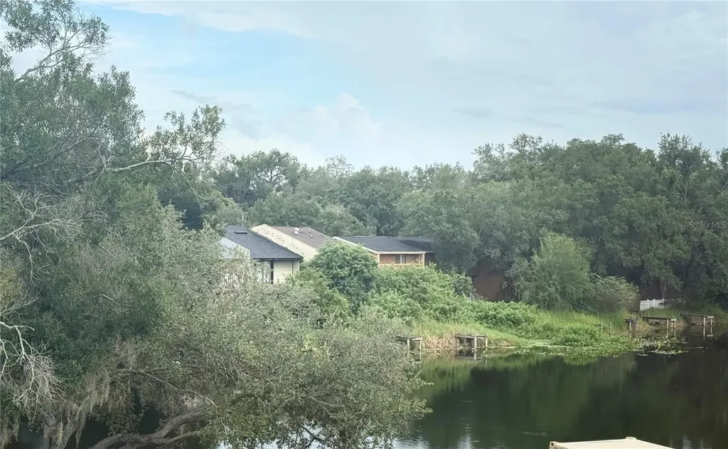7128 Waterside Drive Tampa FL 33617