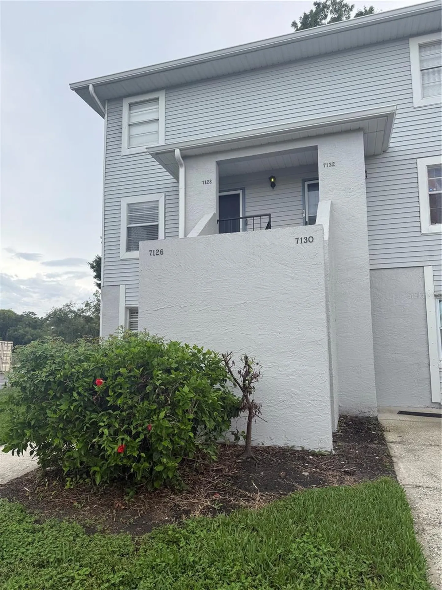 7128 Waterside Drive Tampa FL 33617