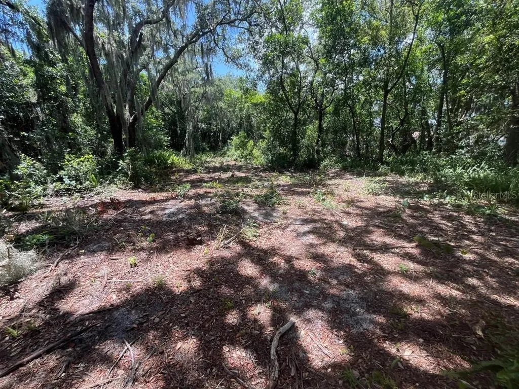 310 Clayton Road Auburndale FL 33823