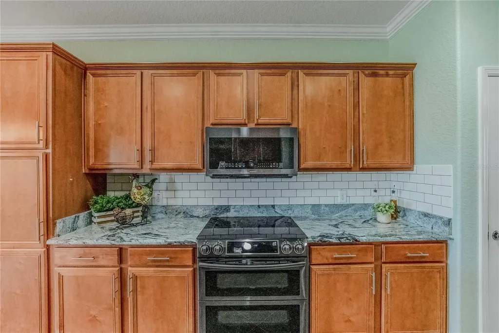 9563 SW 71st Loop Ocala FL 34481