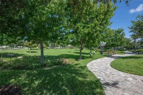 6208 Aralia Ivy Lane Winter Garden FL 34787