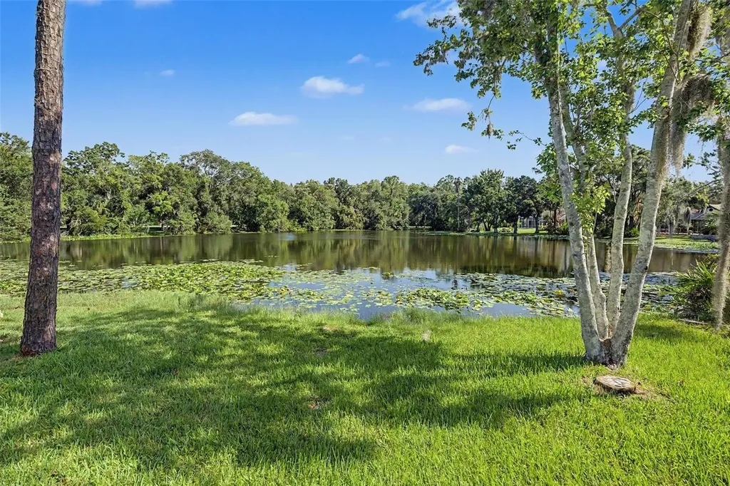 35 Greenhaven Trail Oldsmar FL 34677