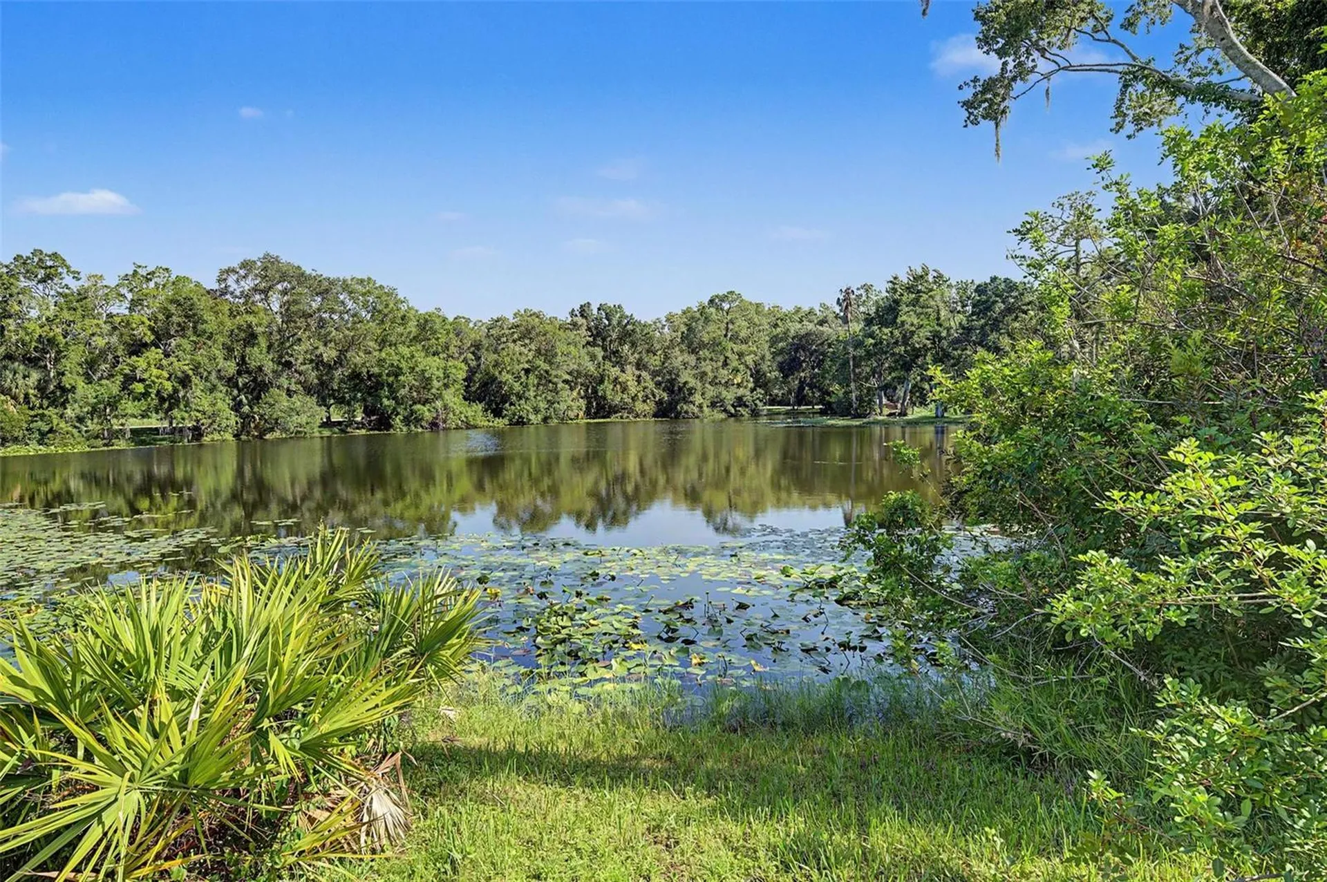 35 Greenhaven Trail Oldsmar FL 34677