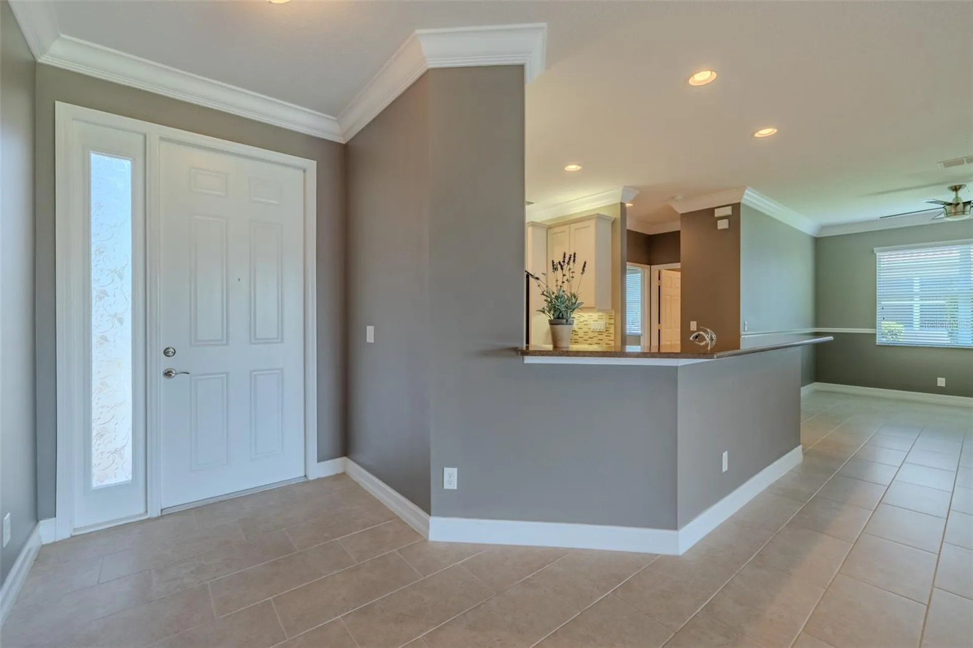 4919 Marble Springs Circle Wimauma FL 33598