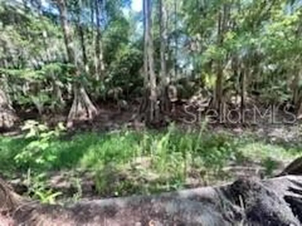 14427 SE 183rd Place Hawthorne FL 32640