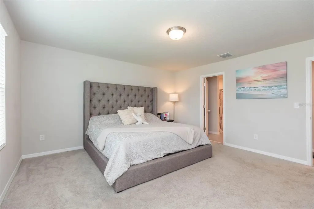 38794 Opal Willow Lane Zephyrhills FL 33540