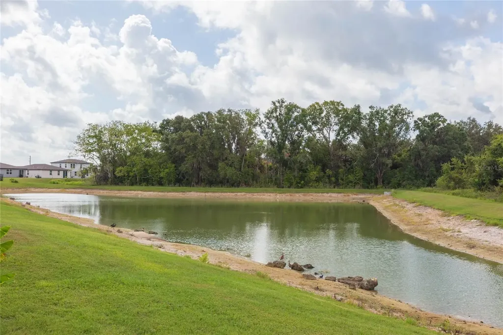 38794 Opal Willow Lane Zephyrhills FL 33540