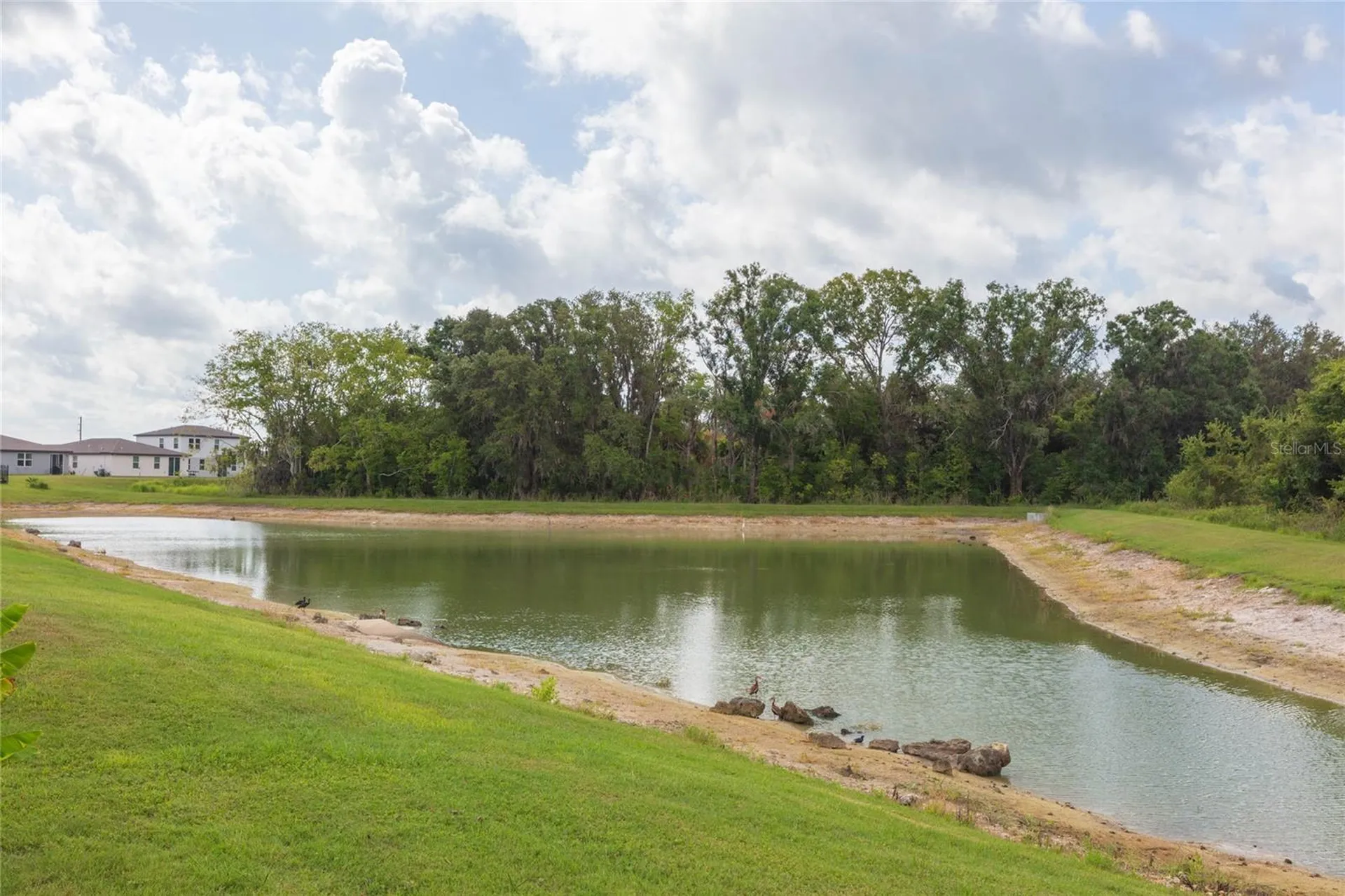 38794 Opal Willow Lane Zephyrhills FL 33540