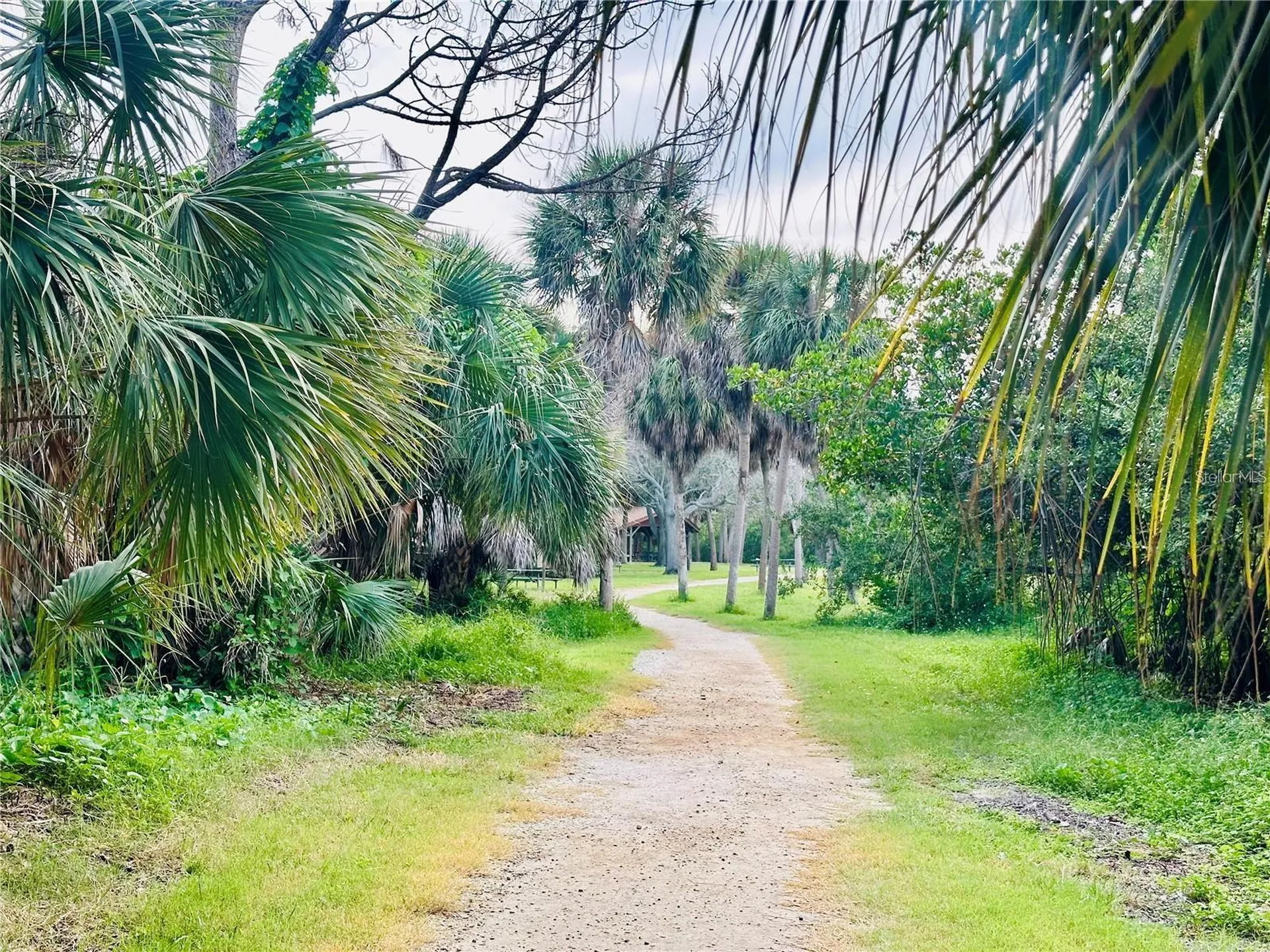 1414 Gulf Road Tarpon Springs FL 34689