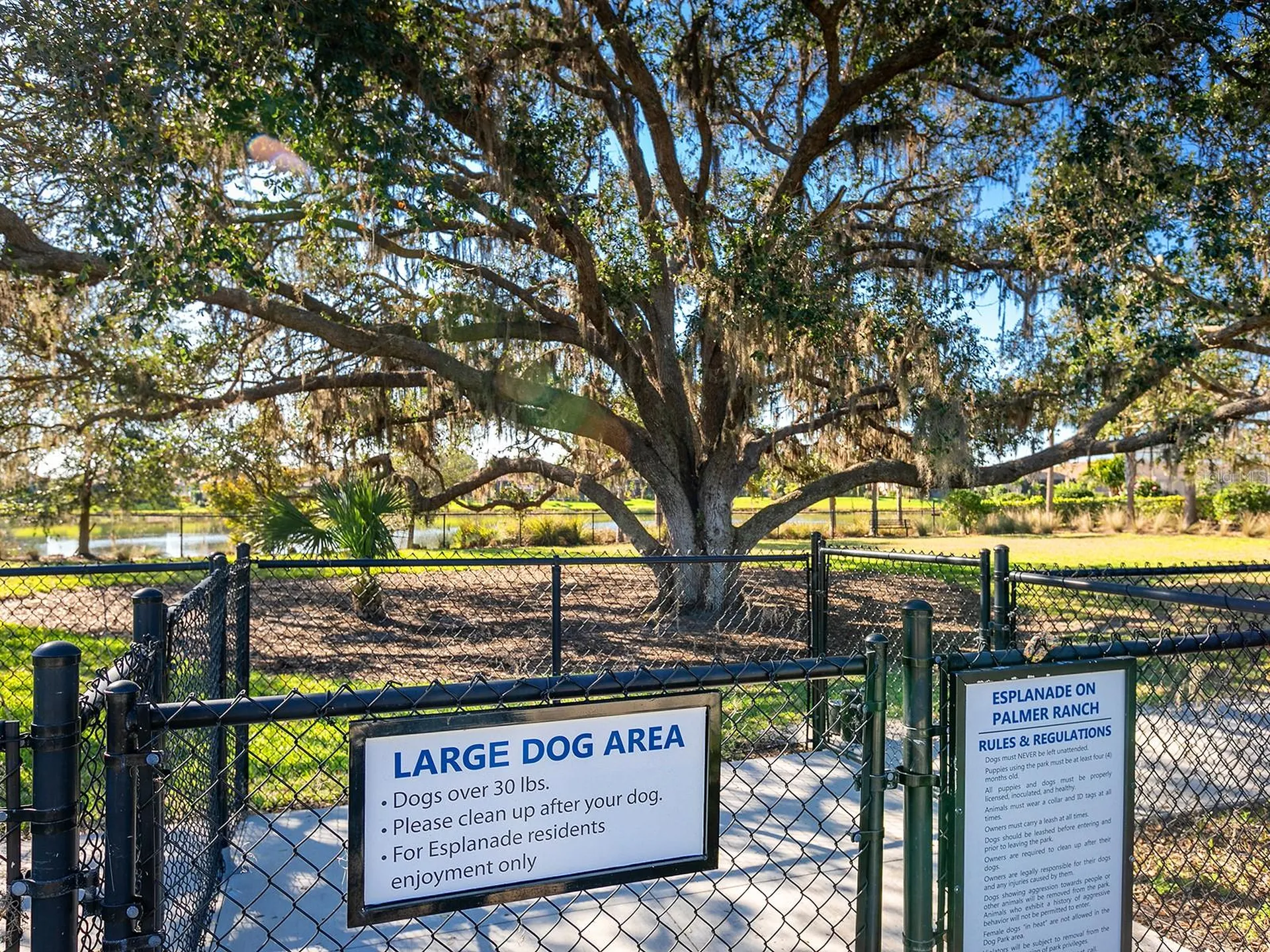 5365 Salcano Street Sarasota FL 34238