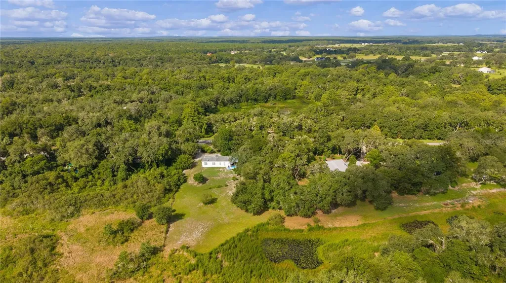 6590 Cr 631 Bushnell FL 33513