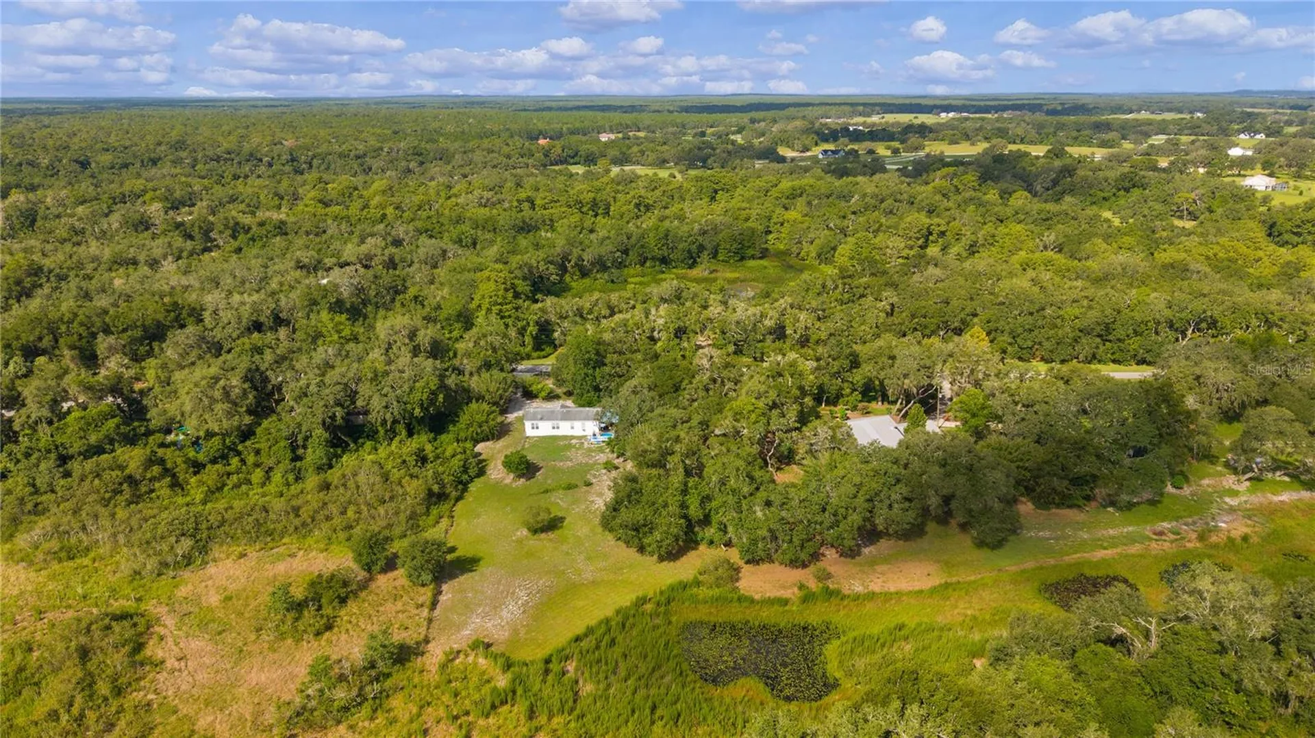 6590 Cr 631 Bushnell FL 33513