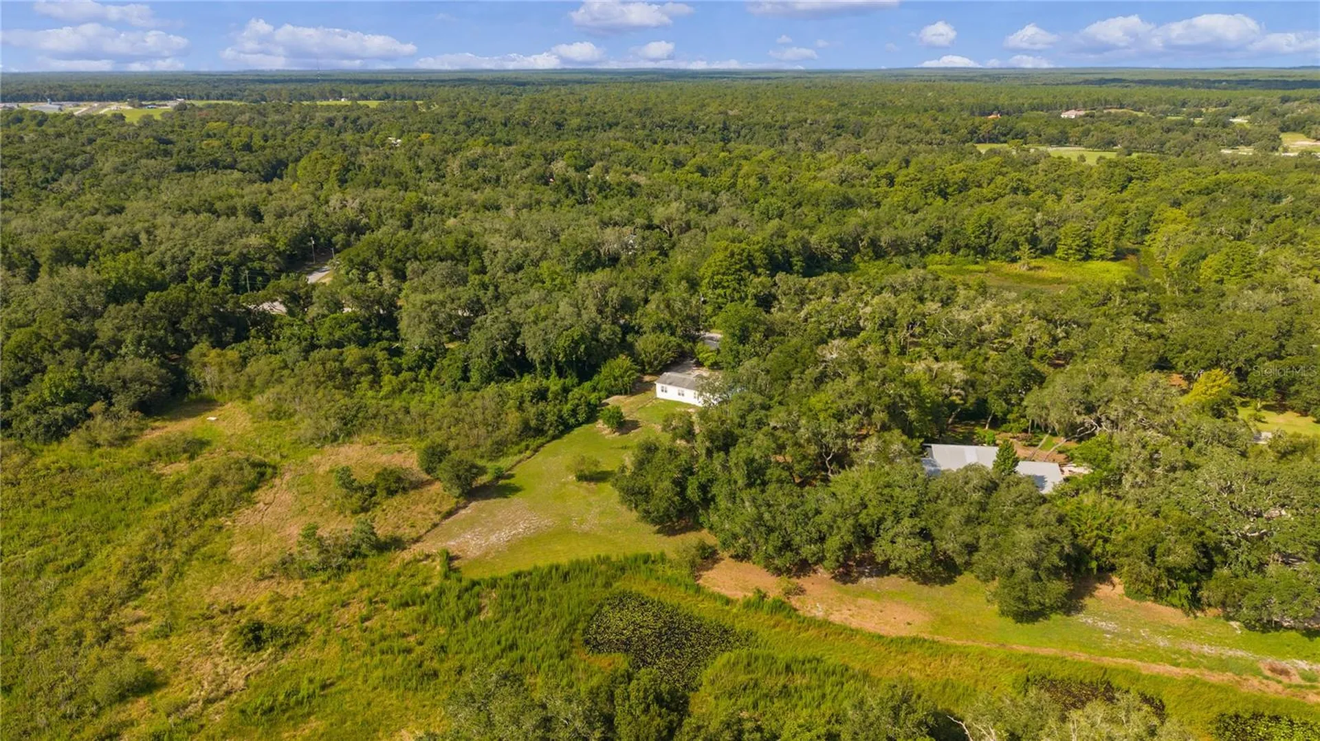 6590 Cr 631 Bushnell FL 33513