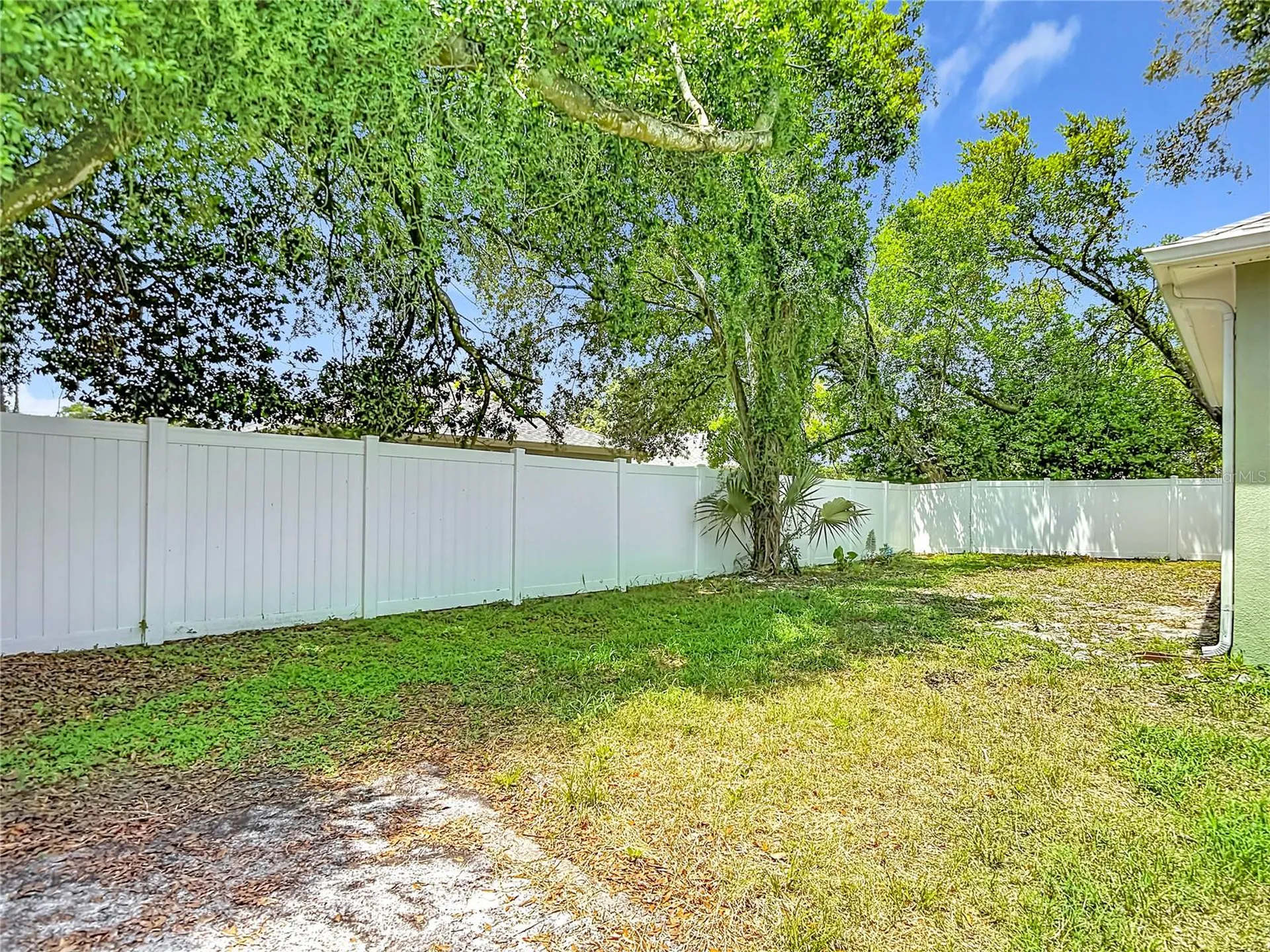 509 E Lake Avenue Tampa FL 33603