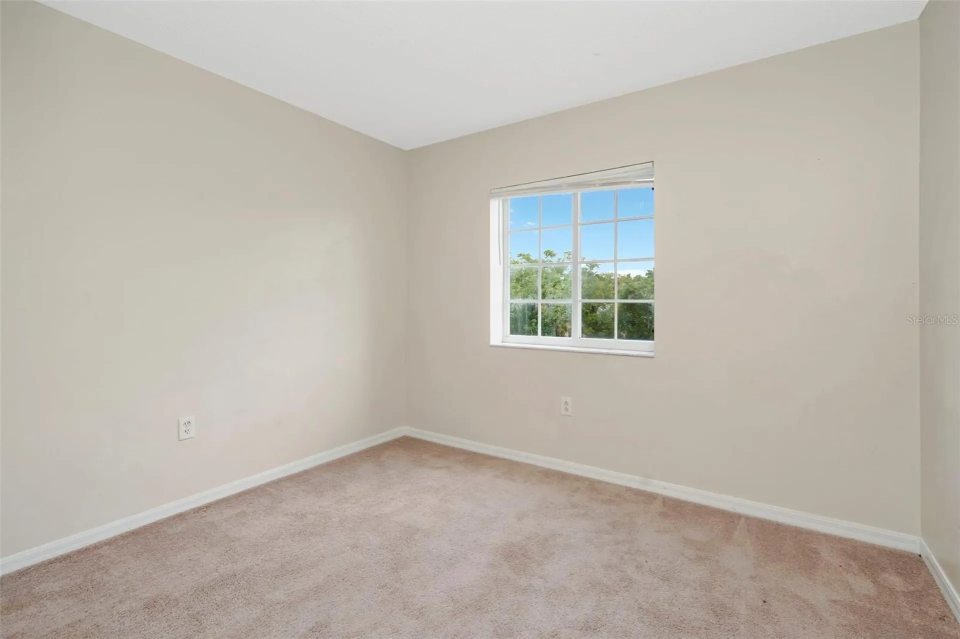 7361 E Bank Drive Tampa FL 33617