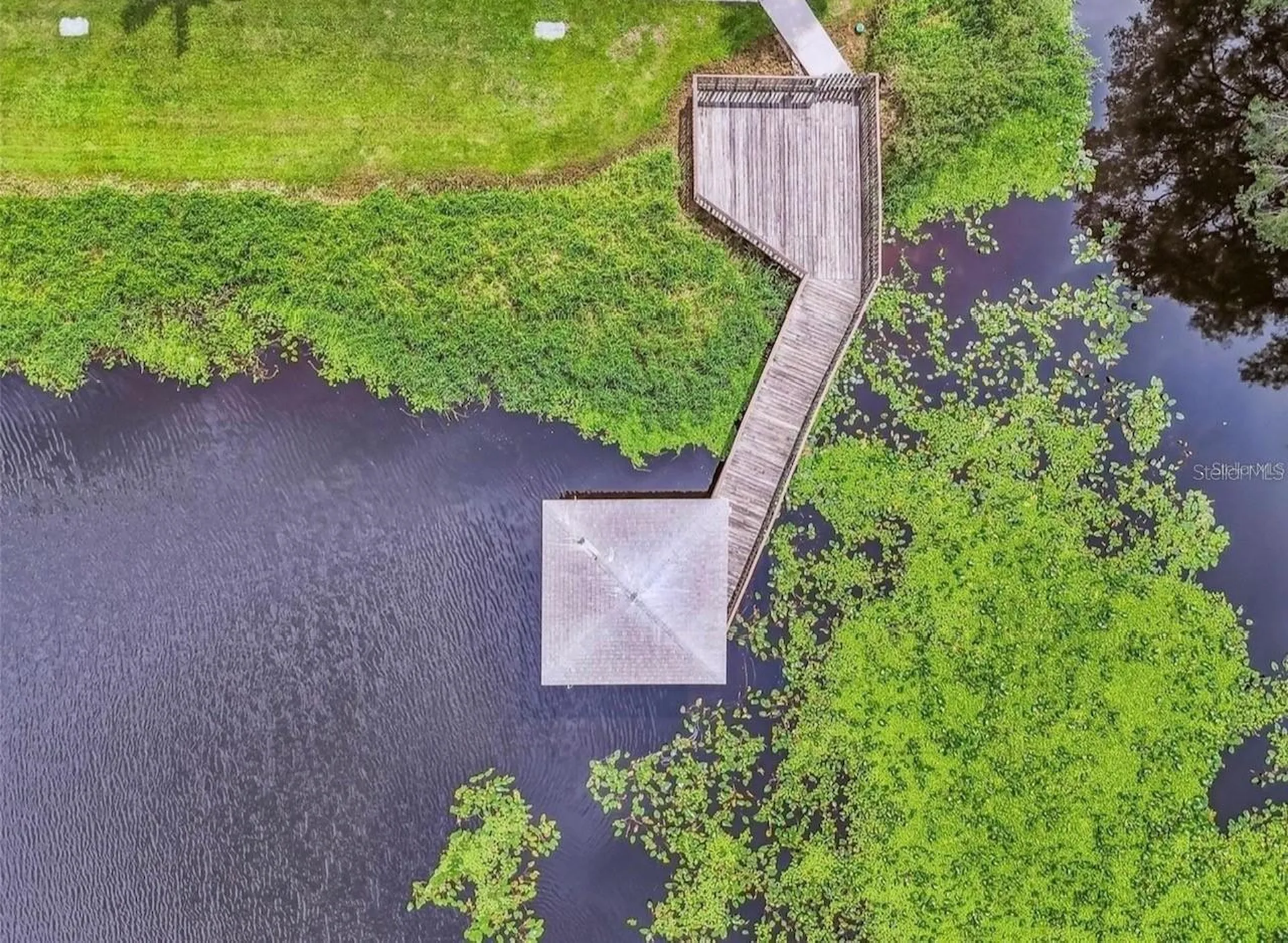 7361 E Bank Drive Tampa FL 33617