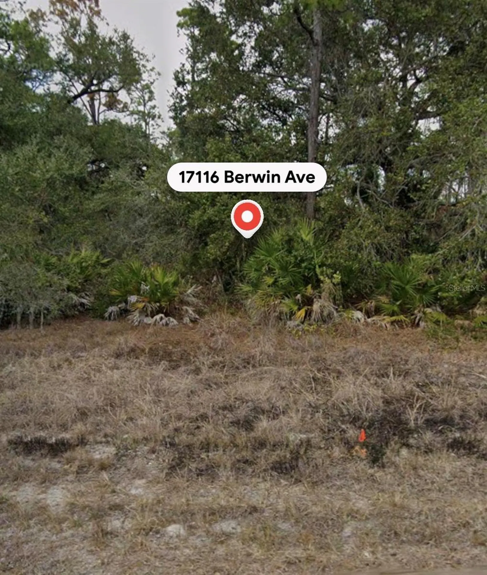 17116 Berwin Avenue Port Charlotte FL 33948