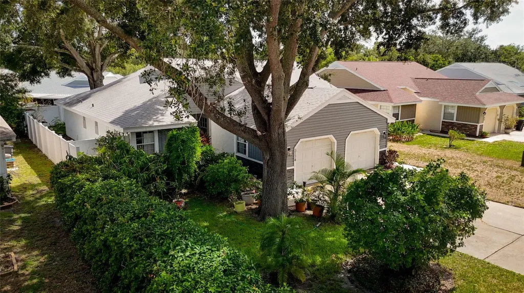 3174 Phlox Drive Palm Harbor FL 34684