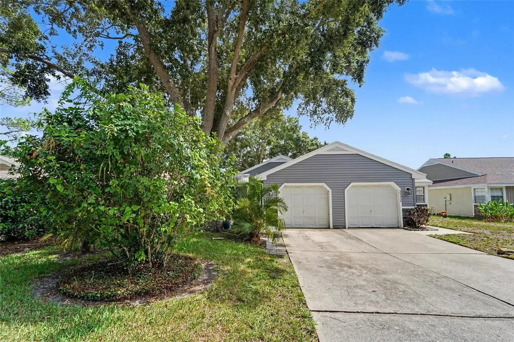 3174 Phlox Drive Palm Harbor FL 34684