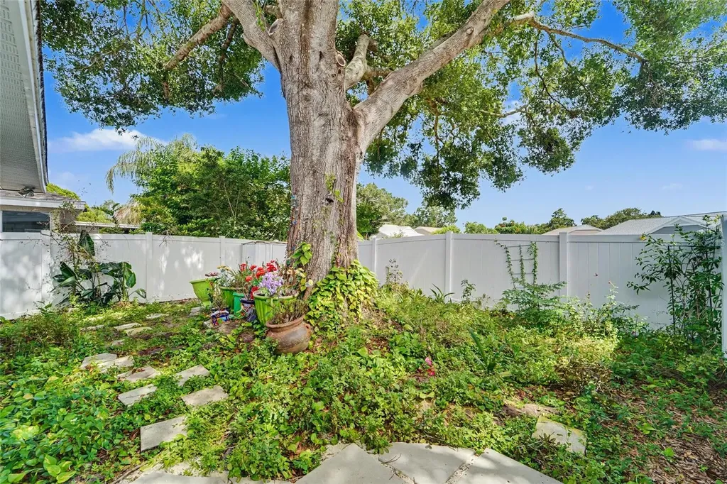3174 Phlox Drive Palm Harbor FL 34684