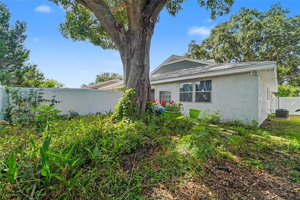 3174 Phlox Drive Palm Harbor FL 34684