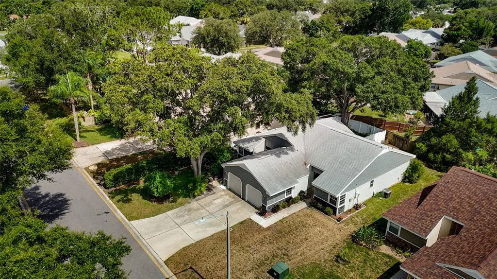 3174 Phlox Drive Palm Harbor FL 34684