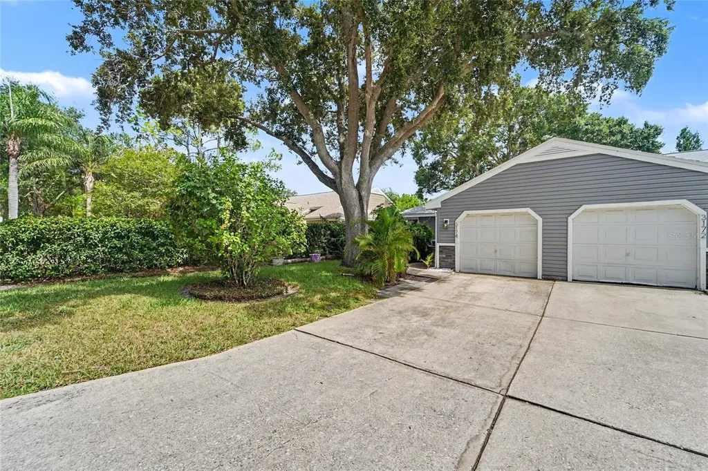 3174 Phlox Drive Palm Harbor FL 34684