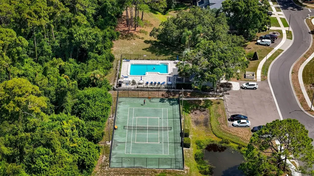 3174 Phlox Drive Palm Harbor FL 34684