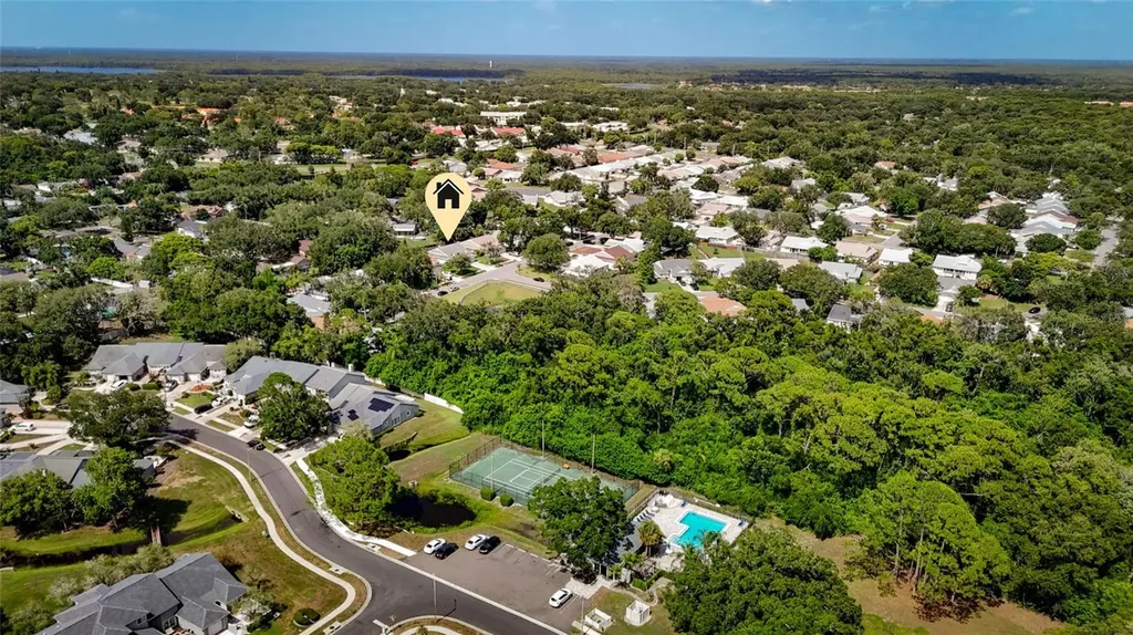 3174 Phlox Drive Palm Harbor FL 34684