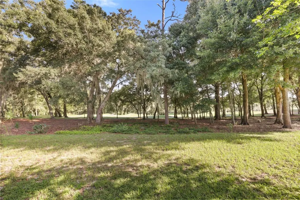 171 Birchmont Drive Deland FL 32724
