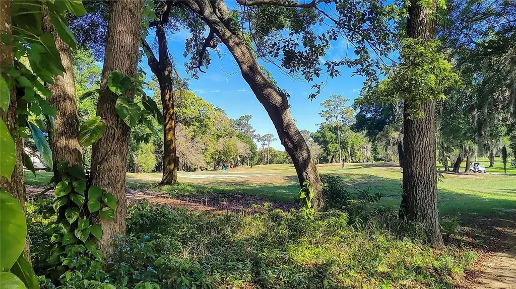 171 Birchmont Drive Deland FL 32724
