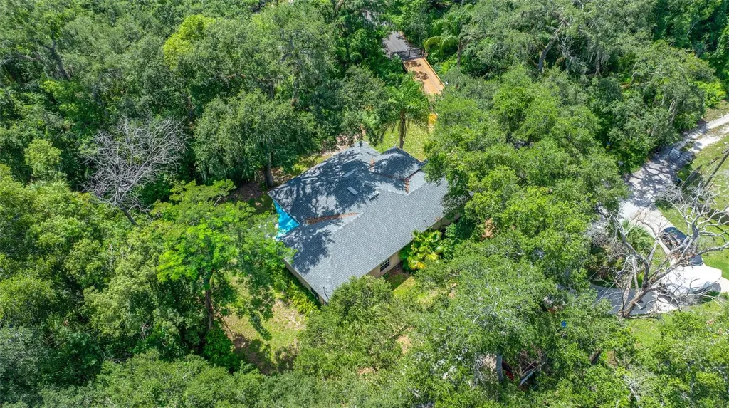 12707 Linda Drive Tampa FL 33612