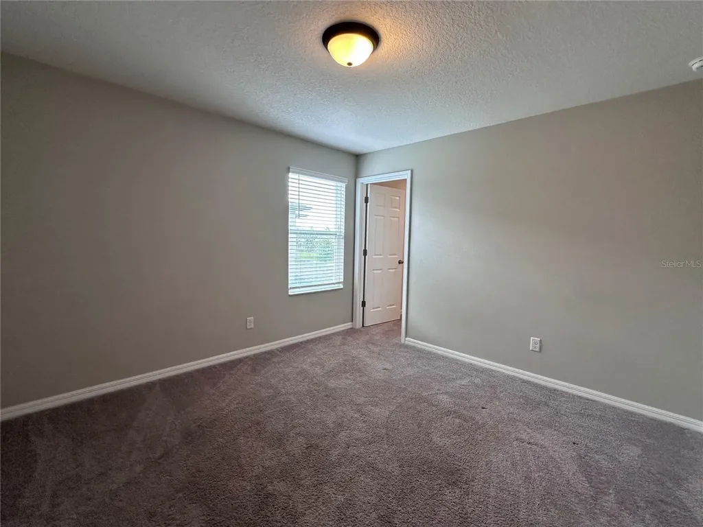 4917 Eagle Rock Drive Wimauma FL 33598