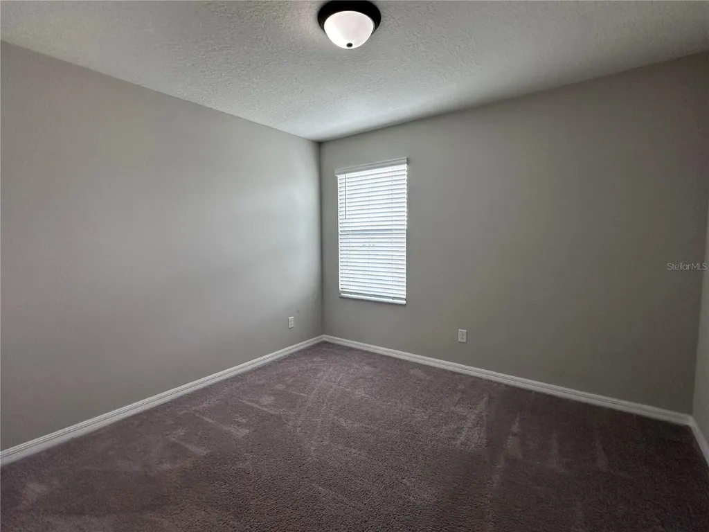 4917 Eagle Rock Drive Wimauma FL 33598