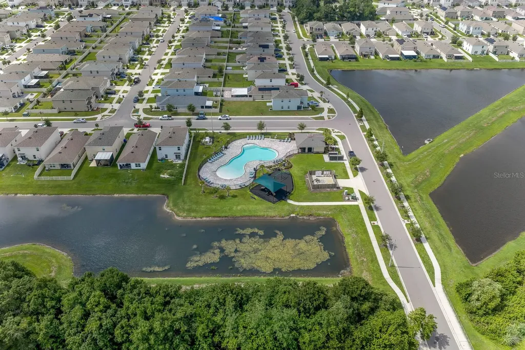 12153 Downy Birch Drive Riverview FL 33569